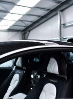 Bugatti Veyron 16.4 Linea Vivere by Mansory 2014 года